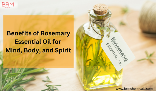 Benefits of Rosemary Essential Oil for Mind, Body, and Spirit