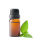 Peppermint Liquid Extract Oil Soluble