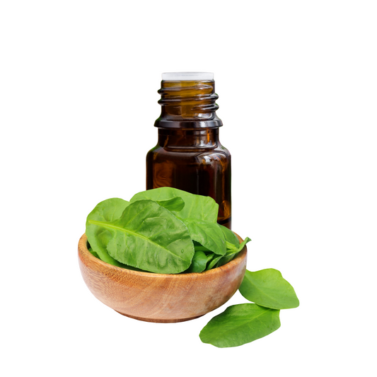 Spinach Liquid Extract Oil Soluble